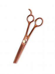 CT6538 -1 W
